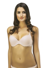 Resmi b�y�tmek i�in t�klay�n�z...